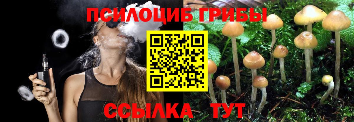 Кыштым  Галлюциногенные грибы мицелий  Вход с VPN  Псилоцибиновые грибы MAGIC MUSHROOMS 